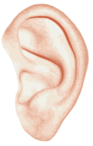 דלקת אוזניים 