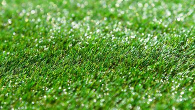 Photo of האם דשא סינטטי יוכל להתאים לגינה שלכם?